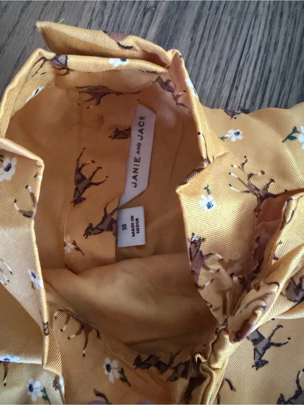 Janie & Jack the Equestrian Snapshot Dress size 10 NEW